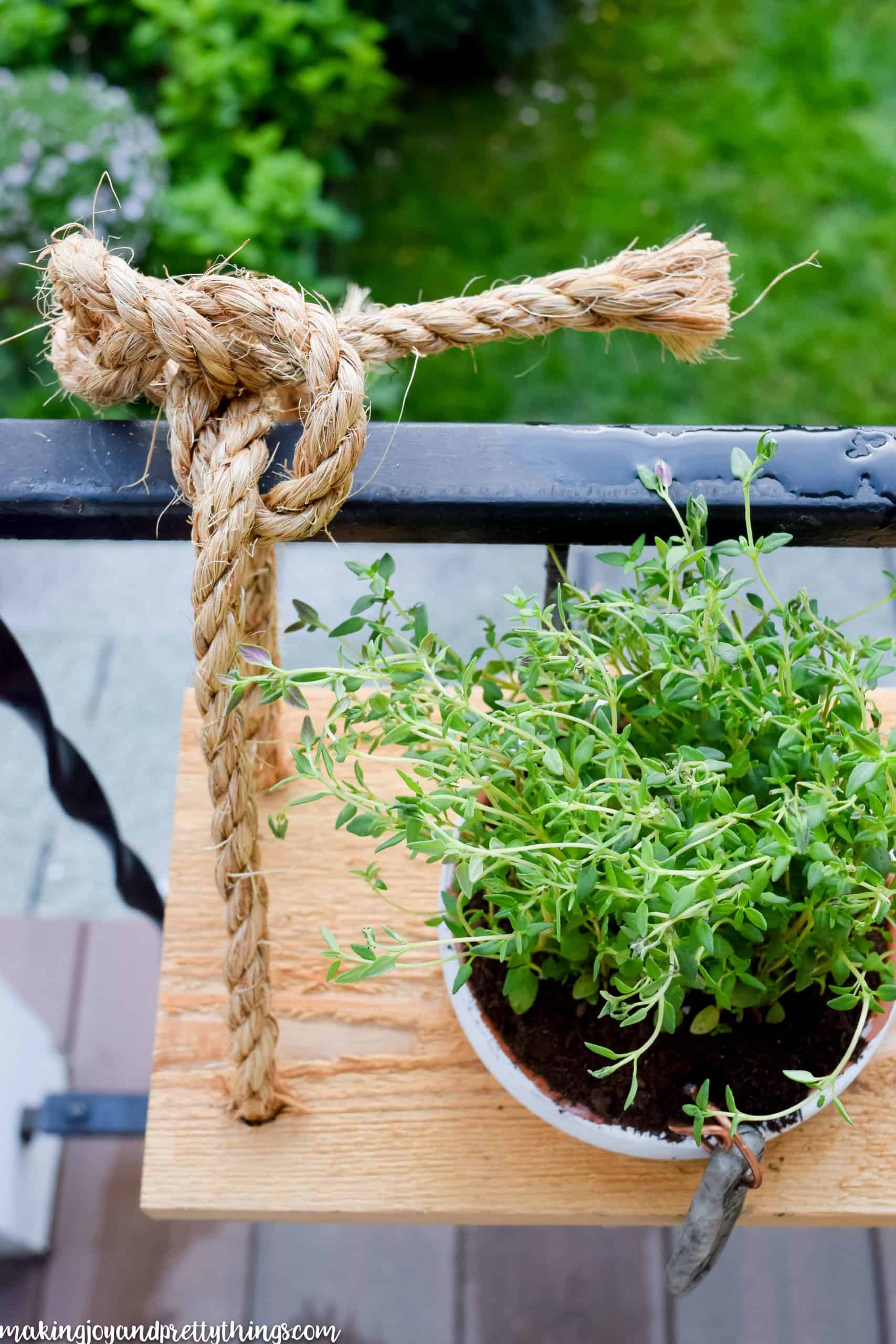 DIY Herb Garden for Balcony - Making Joy and Pretty Things