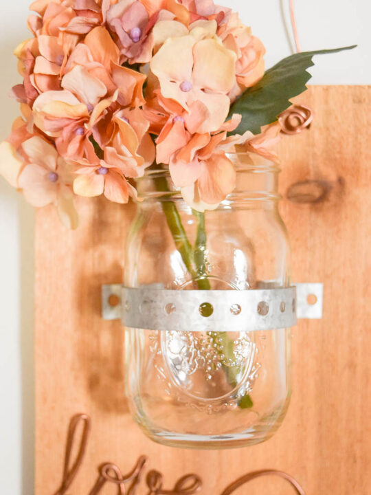 DIY Blank Mini Mason Jars