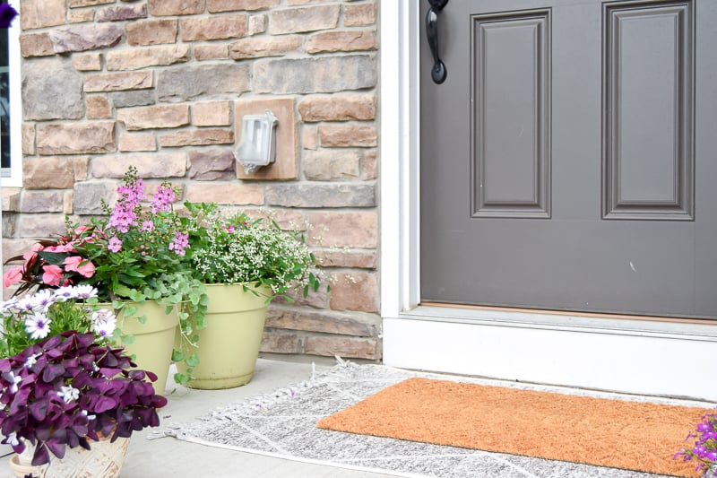 Over 40 Stylish Front Door Mat Ideas for your Home - Twelve On Main